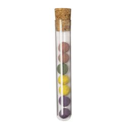 Set Bombónes Semillas Dinaclex
