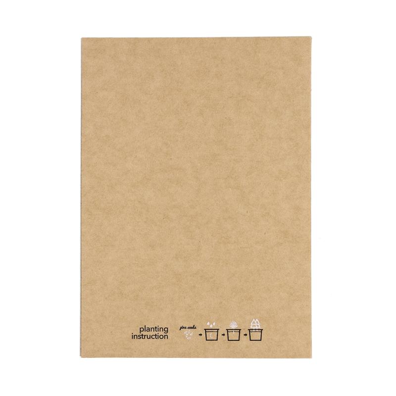 Postal Adorno Astrox