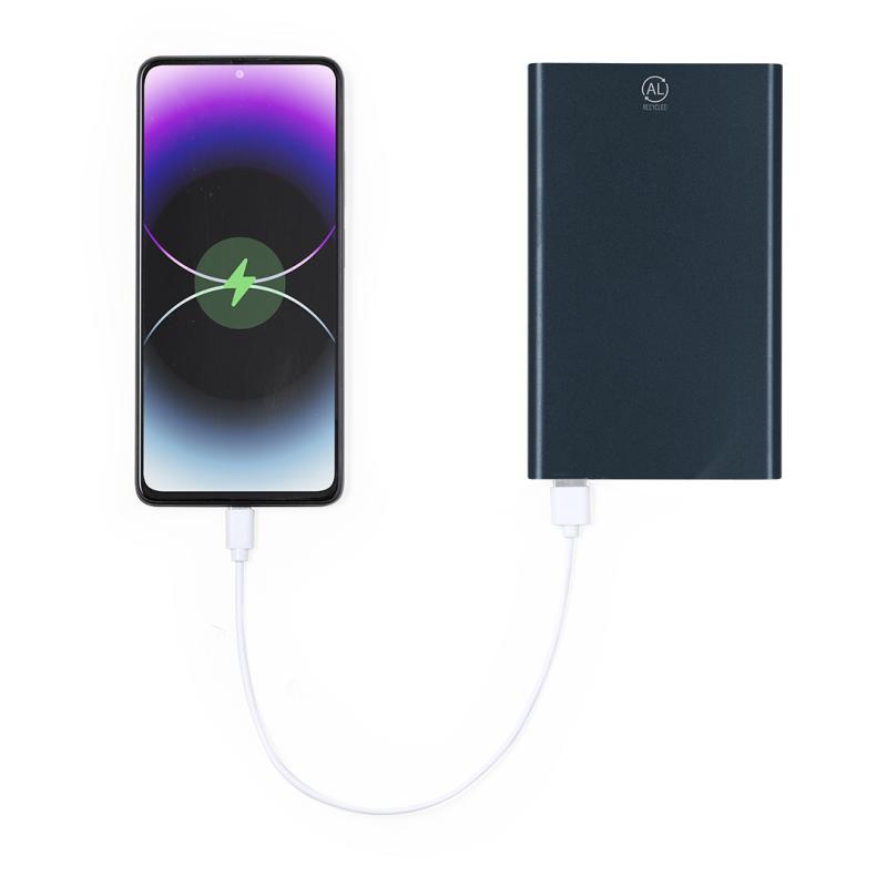 Power Bank Backen