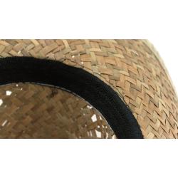 Sombrero Bull
