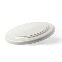 Frisbee Ditul