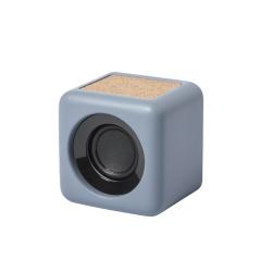 Altavoz Seynol