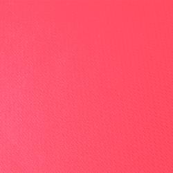 Camiseta Mujer Cocker